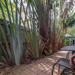Nawlins Vibe With Rooftop Verandah Near Riverwalk And Downtown Tampa